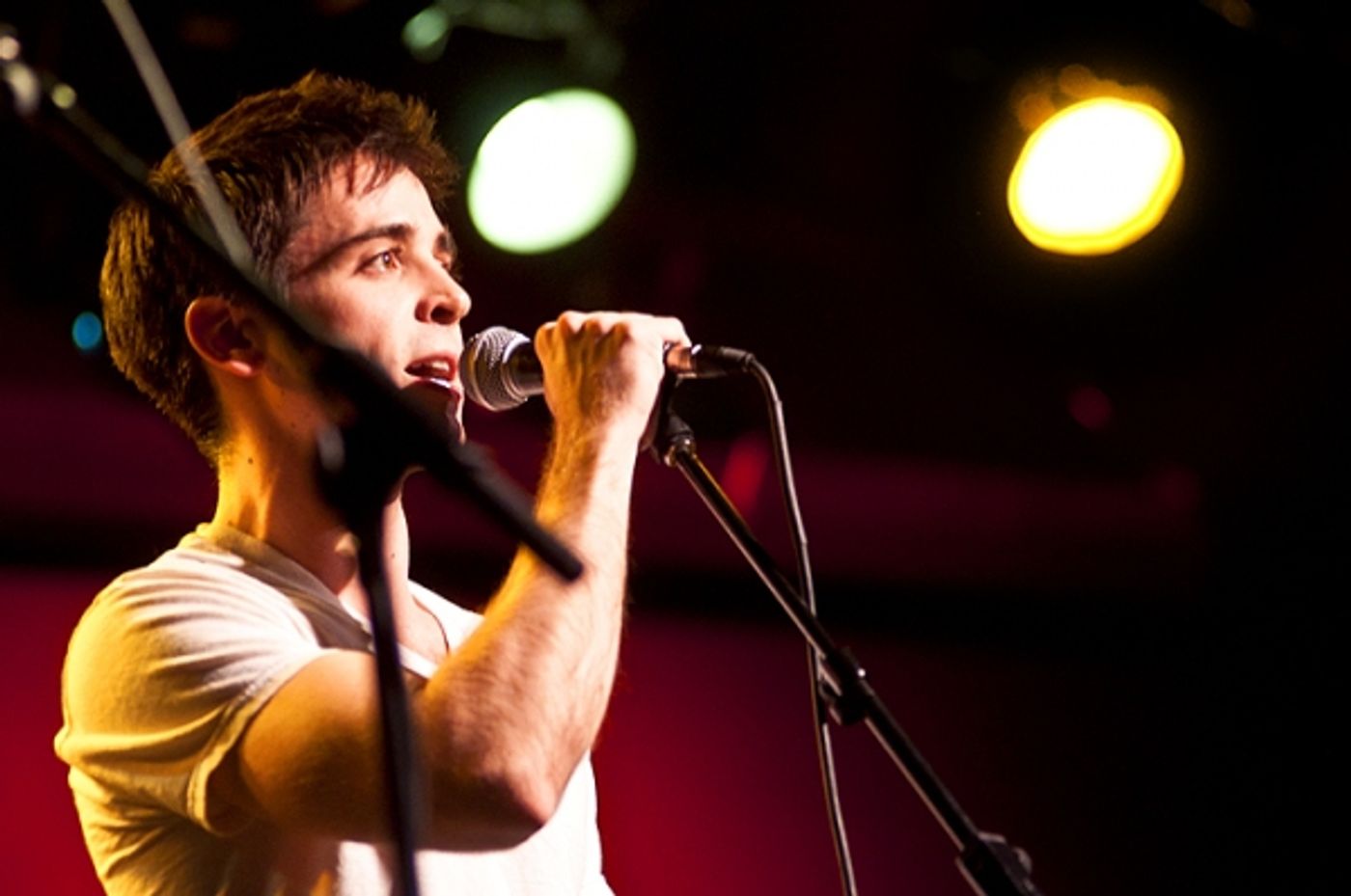 Photo Flash: Doyle, Umphress, et al. Sing Jonathan Reid Gealt  at CD Release Concert  Image