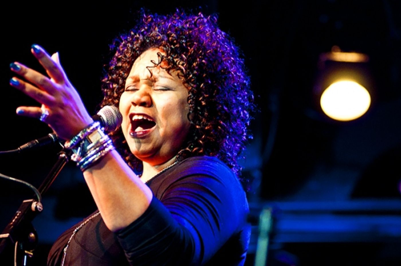 Photo Flash: Doyle, Umphress, et al. Sing Jonathan Reid Gealt  at CD Release Concert  Image