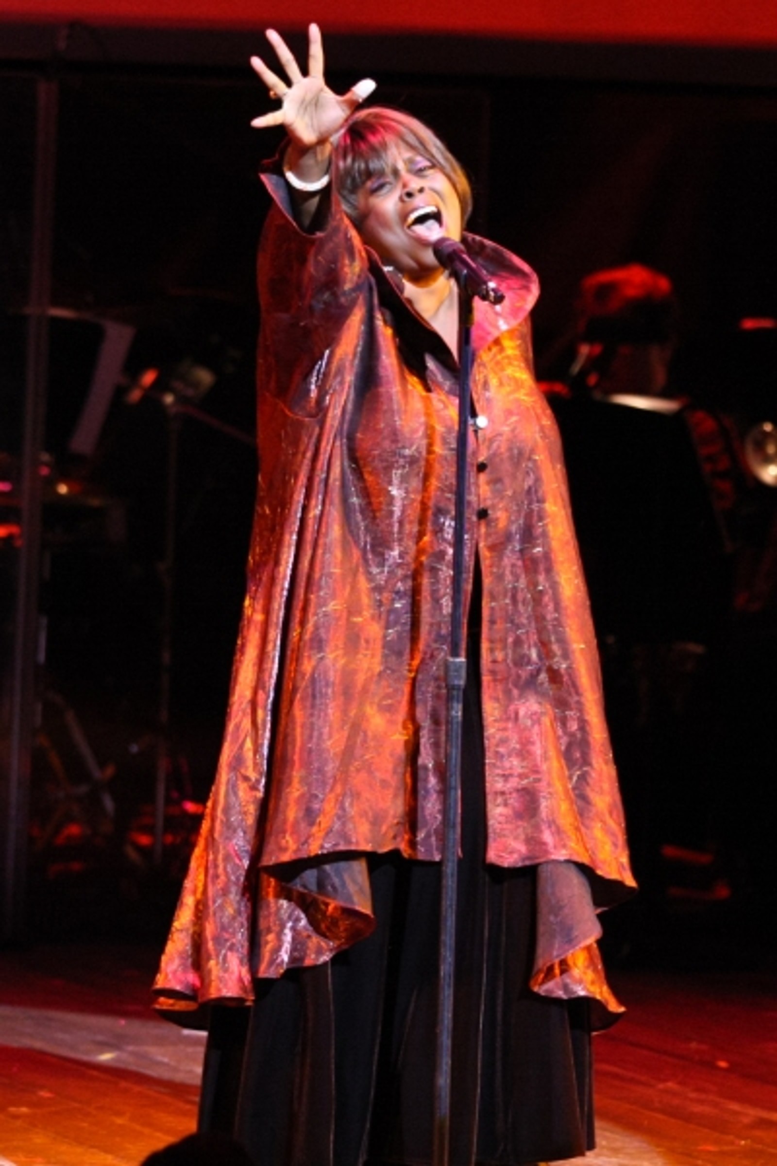 Photo Coverage: BROADWAY BACKWARDS 6 - The Show! — photo 10 of 21