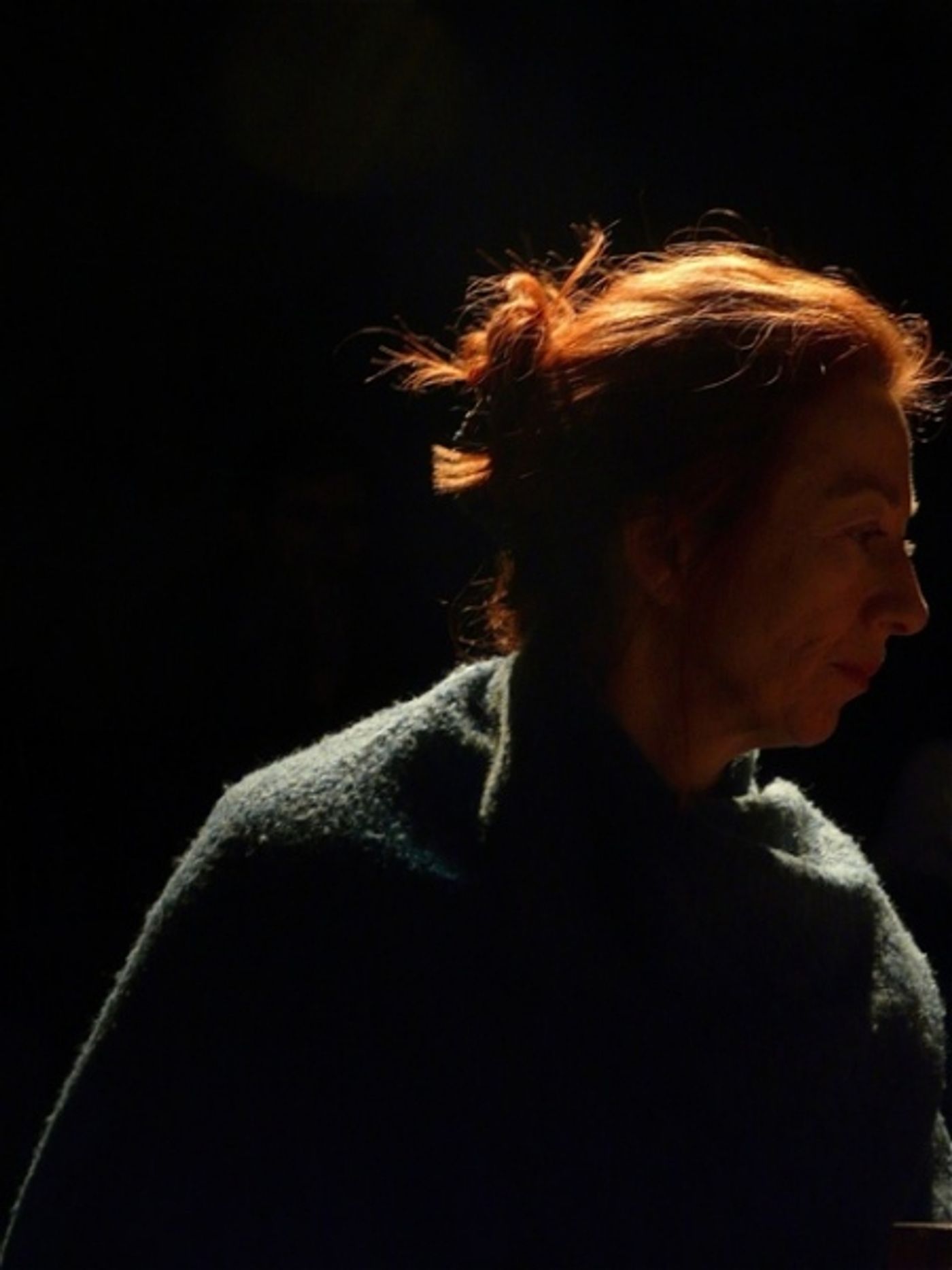 Photo Flash: Rising Phoenix's THE UPSTART  Image