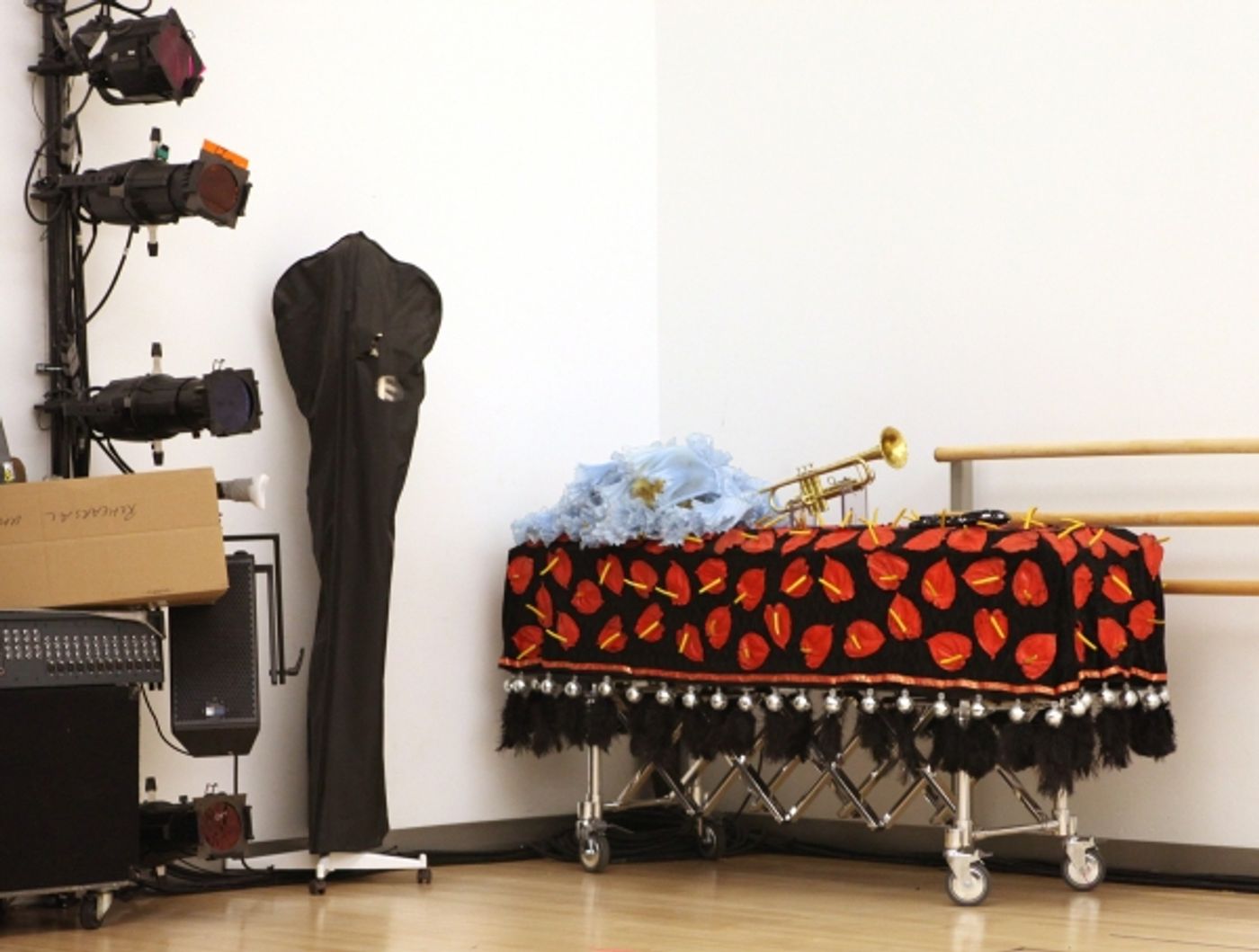 Photo Coverage: PRISCILLA QUEEN OF THE DESERT in Rehearsal & Meet the Cast!  Image