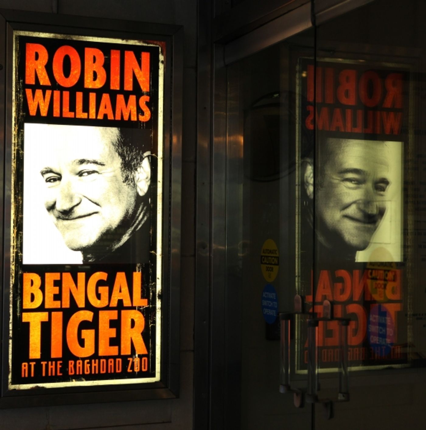 Photo Coverage: Robin Williams & BENGAL TIGER AT THE BAGHDAD ZOO Meet the Press!  Image
