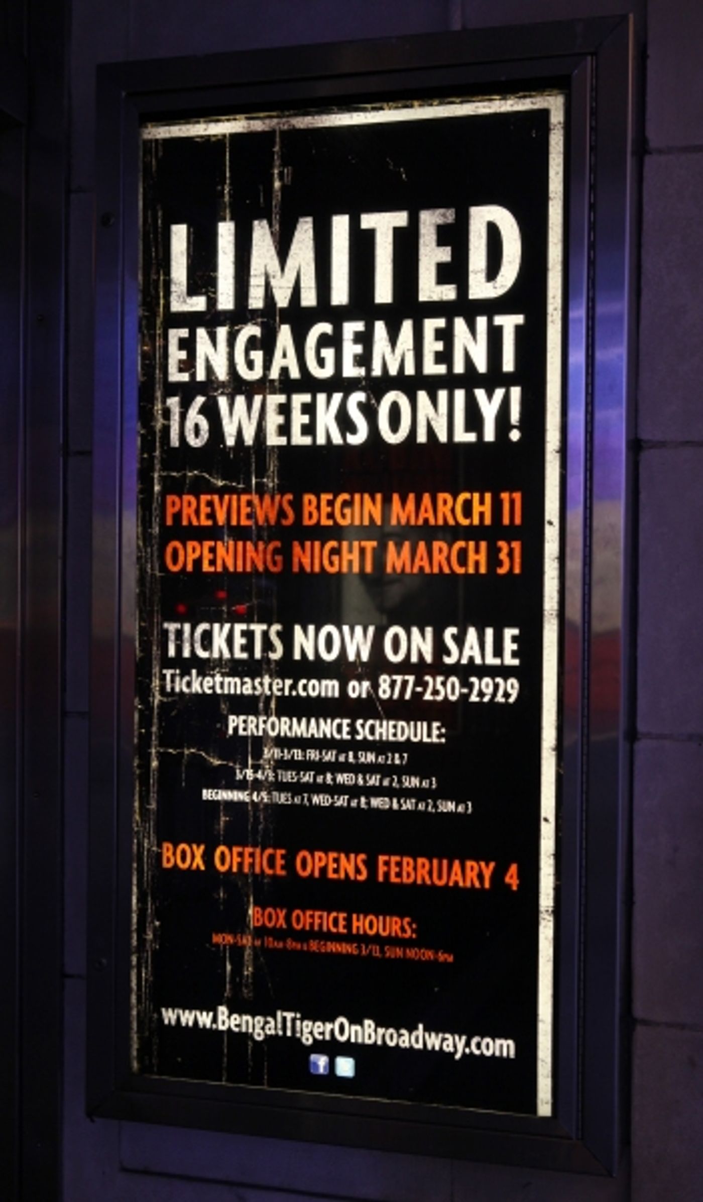 Photo Coverage: Robin Williams & BENGAL TIGER AT THE BAGHDAD ZOO Meet the Press!  Image