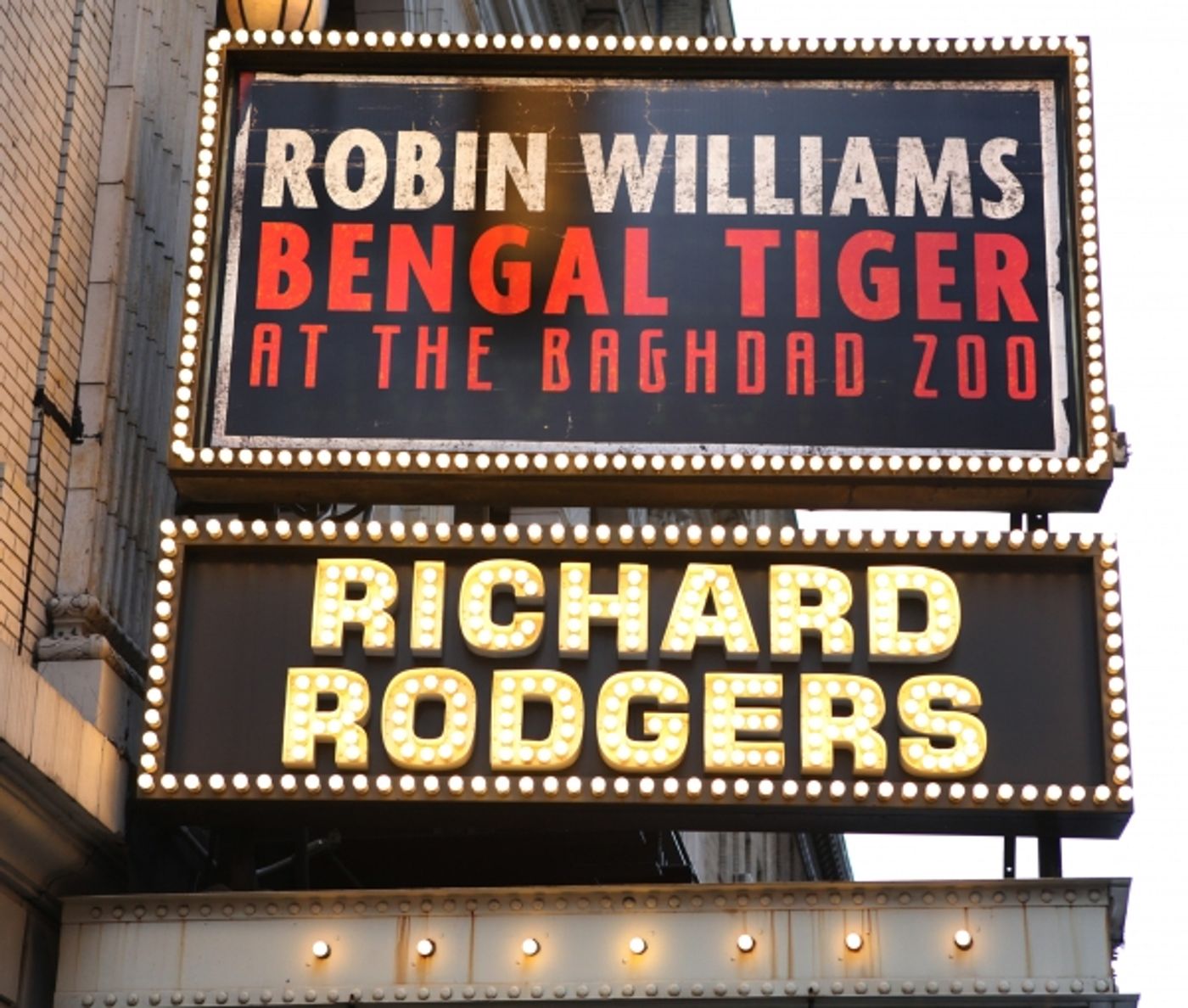 Photo Coverage: Robin Williams & BENGAL TIGER AT THE BAGHDAD ZOO Meet the Press!  Image