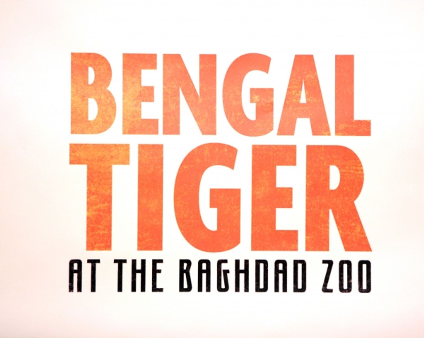 Photo Coverage: Robin Williams & BENGAL TIGER AT THE BAGHDAD ZOO Meet the Press!  Image