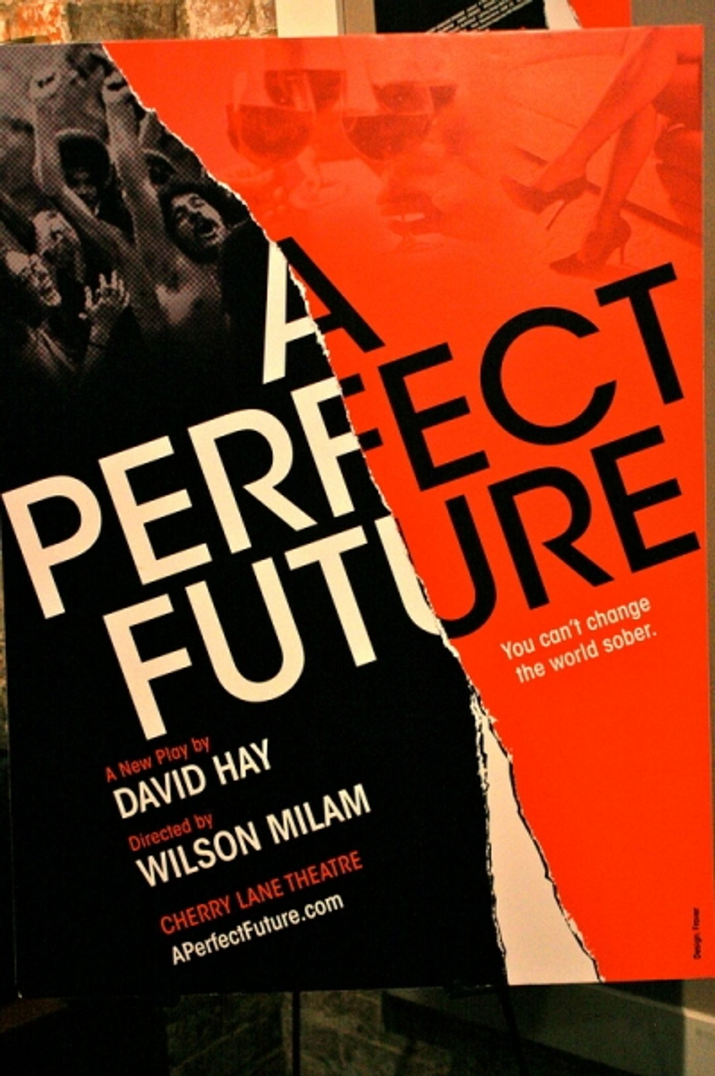 Photo Flash: A PERFECT FUTURE Opens at Cherry Lane Theatre  Image