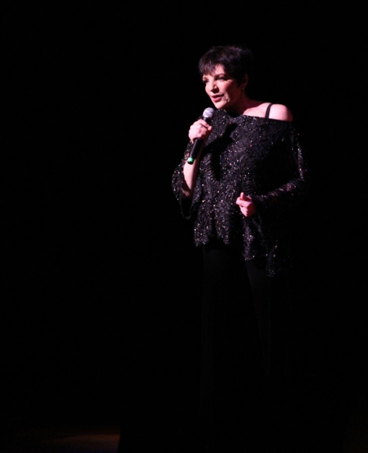 Liza Minnelli performing at The Best of Jim Caruso's Cast Party, a Benefit for BC/EFA at Town Hall in New York City. at 