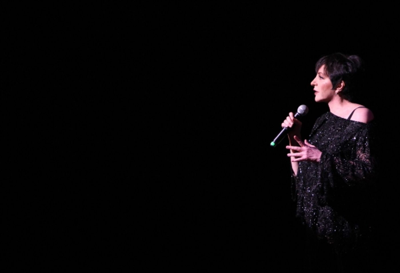 Photo Coverage: Liza, Chita & More Onstage at The Best of Jim Caruso's CAST PARTY  Image
