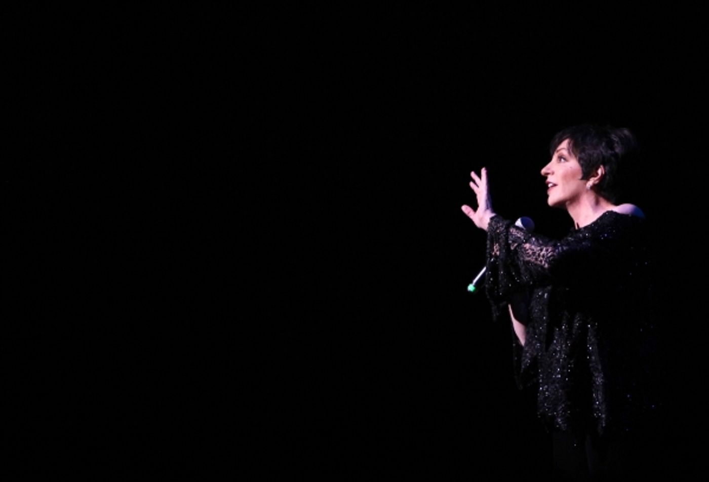 Photo Coverage: Liza, Chita & More Onstage at The Best of Jim Caruso's CAST PARTY  Image