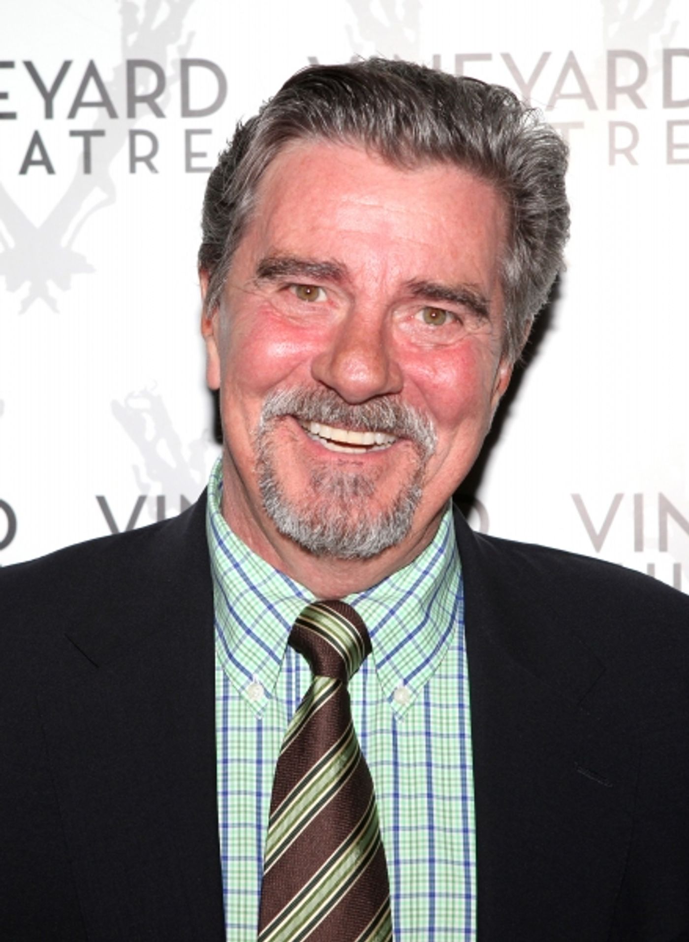 Photo Coverage: Broderick, Lane et al. Honor Susan Stroman with Vineyard Theatre - Arrivals Photo Coverage: Broderick, Lane et al. Honor Susan Stroman with Vineyard Theatre - Arrivals Image