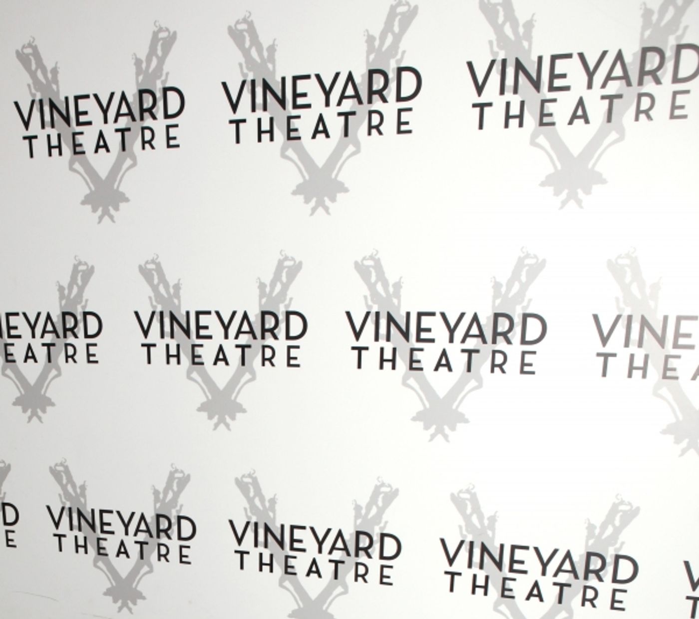 Photo Coverage: Broderick, Lane et al. Honor Susan Stroman with Vineyard Theatre - Arrivals Photo Coverage: Broderick, Lane et al. Honor Susan Stroman with Vineyard Theatre - Arrivals Image