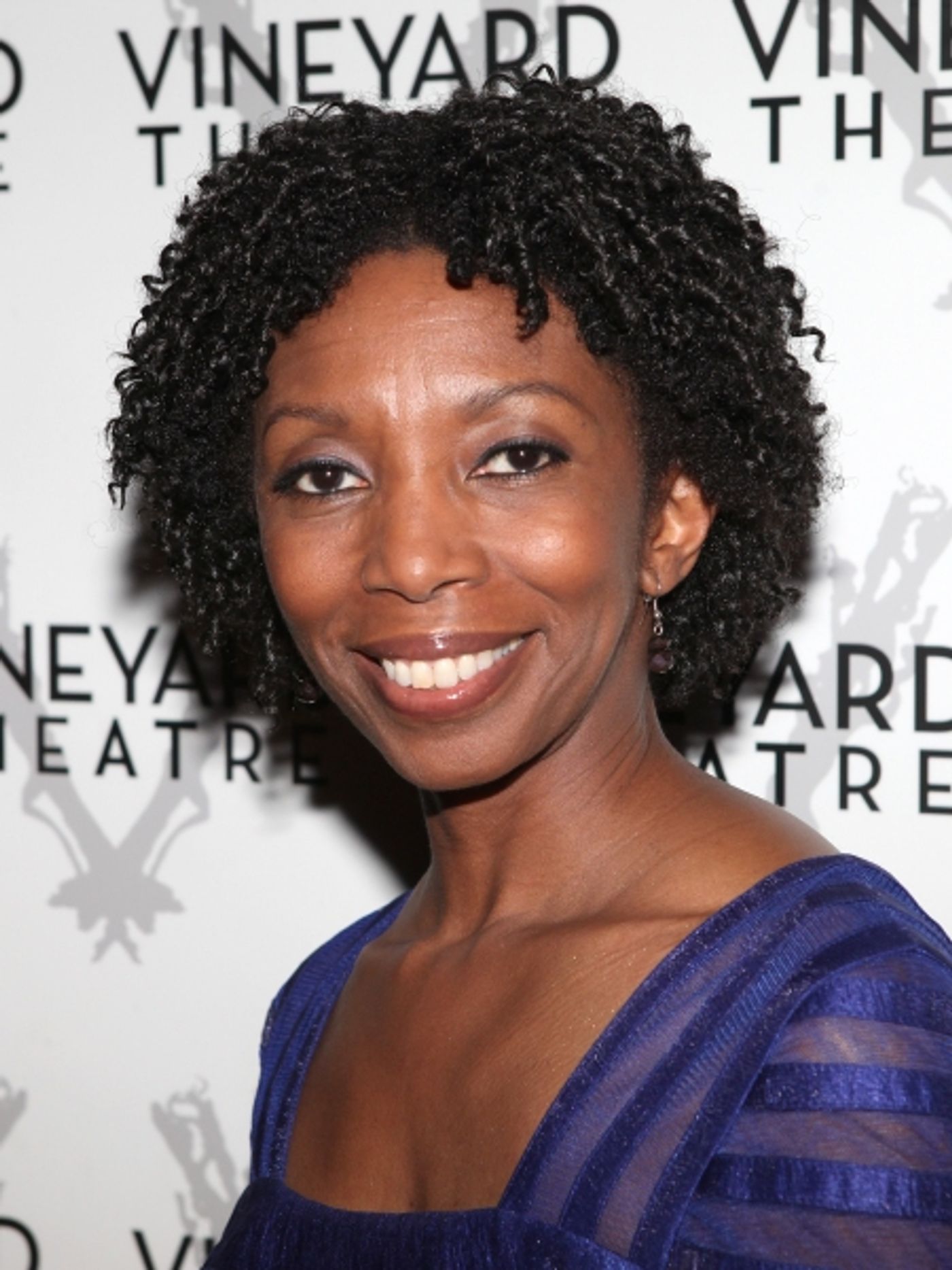 Photo Coverage: Broderick, Lane et al. Honor Susan Stroman with Vineyard Theatre - Arrivals Photo Coverage: Broderick, Lane et al. Honor Susan Stroman with Vineyard Theatre - Arrivals Image