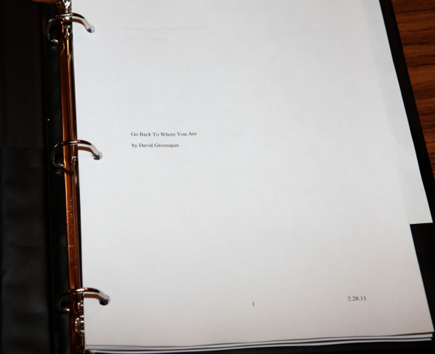 Photo Coverage: 'Go Back To Where You Are' Meets the Press  Image