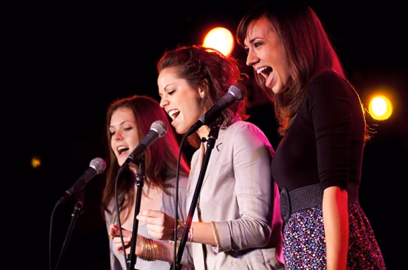 Photo Flash: NewMusicalTheatre.com Concert Features Kerrigan-Lowdermilk's YOU MADE THIS TOUR  Image