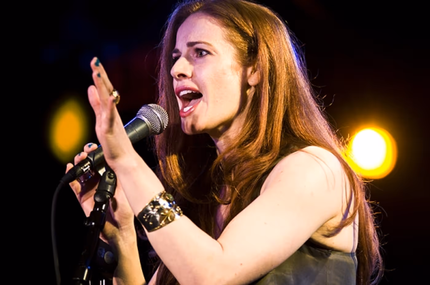 Photo Flash: NewMusicalTheatre.com Concert Features Kerrigan-Lowdermilk's YOU MADE THIS TOUR  Image