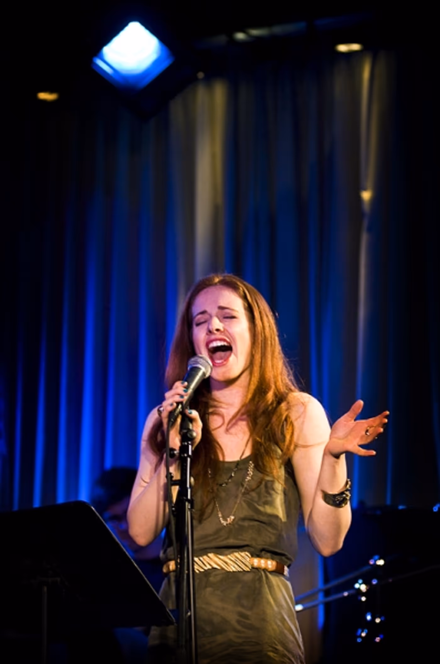 Photo Flash: NewMusicalTheatre.com Concert Features Kerrigan-Lowdermilk's YOU MADE THIS TOUR  Image