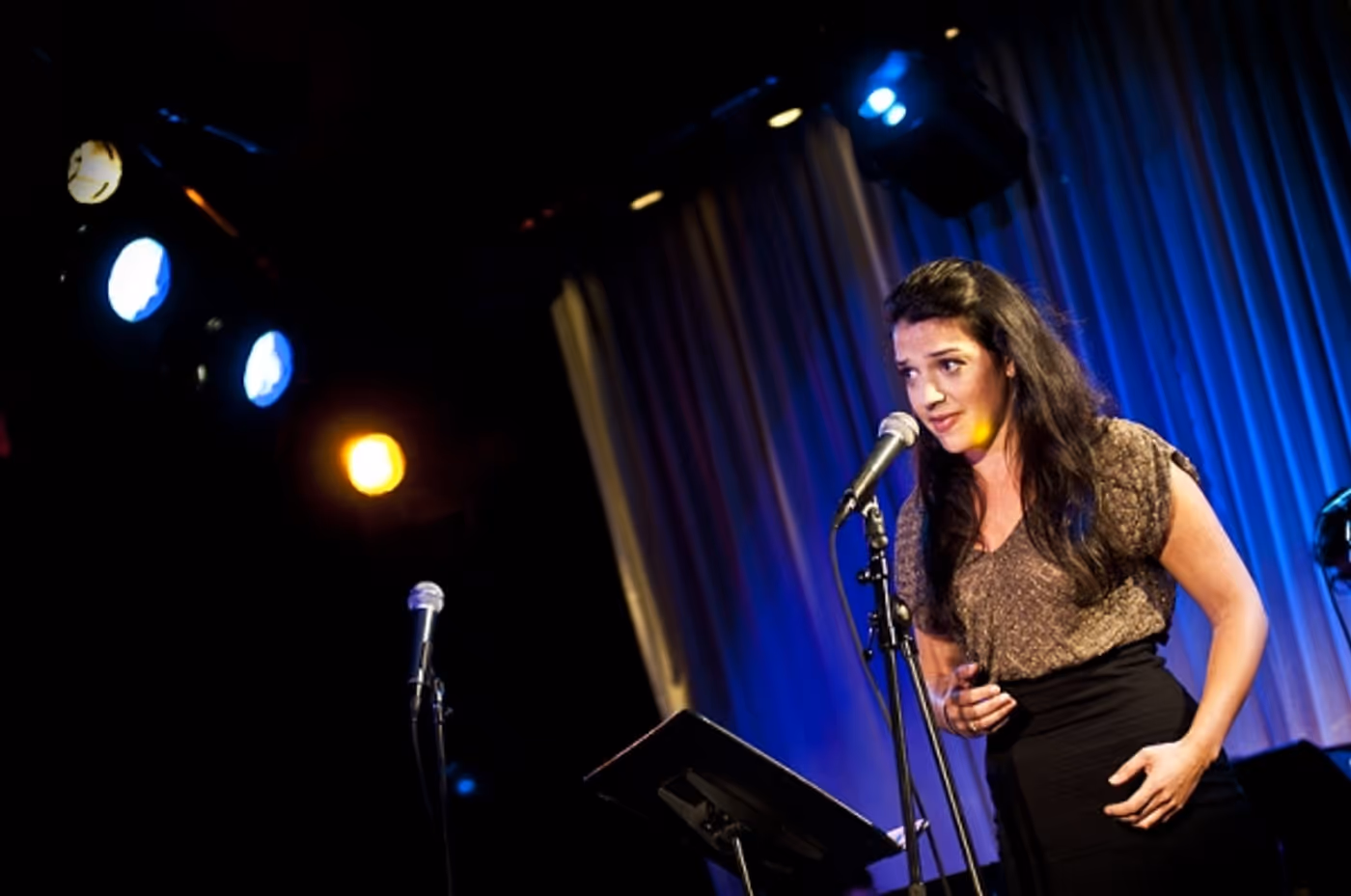 Photo Flash: NewMusicalTheatre.com Concert Features Kerrigan-Lowdermilk's YOU MADE THIS TOUR  Image