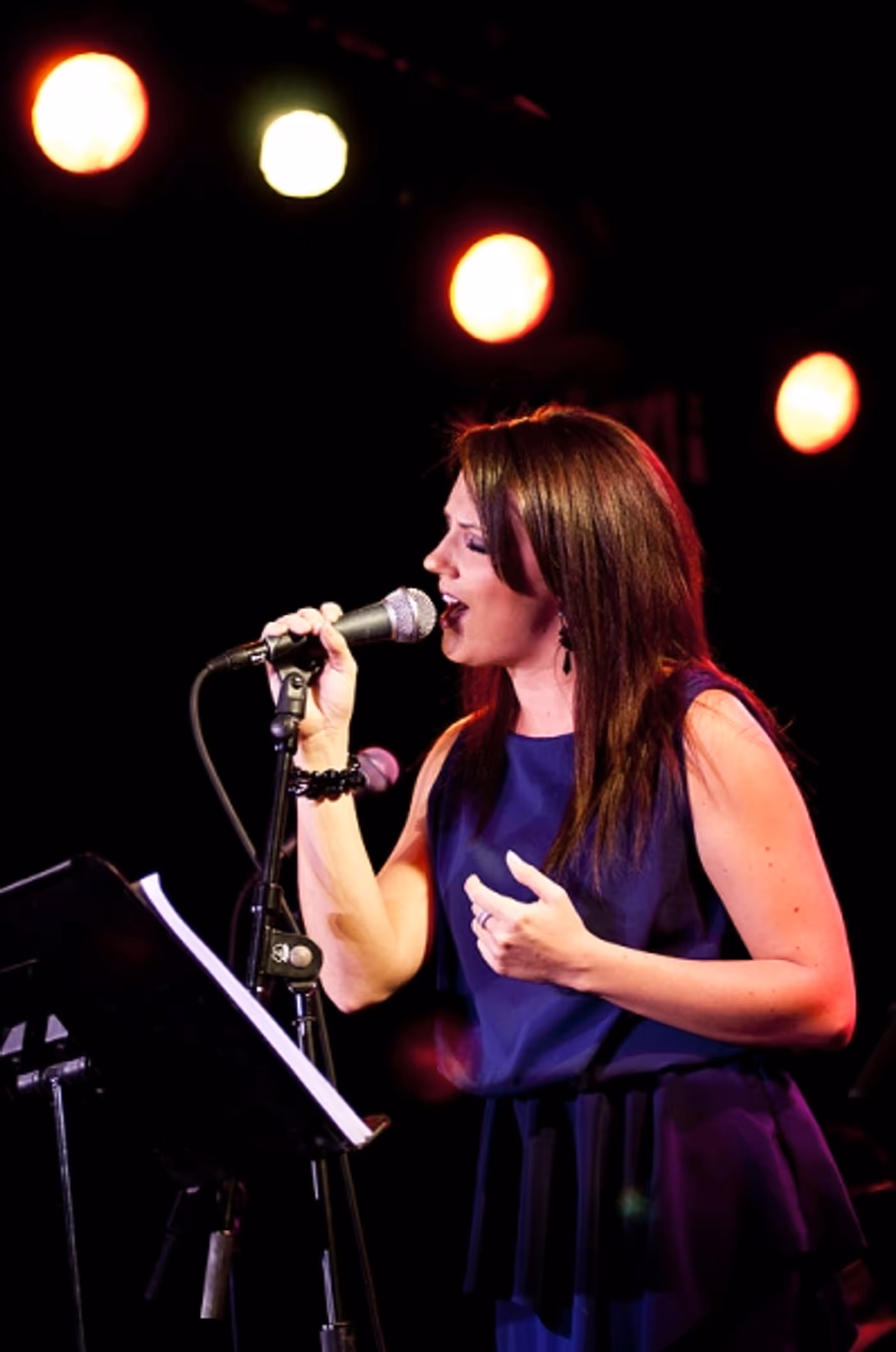 Photo Flash: NewMusicalTheatre.com Concert Features Kerrigan-Lowdermilk's YOU MADE THIS TOUR  Image