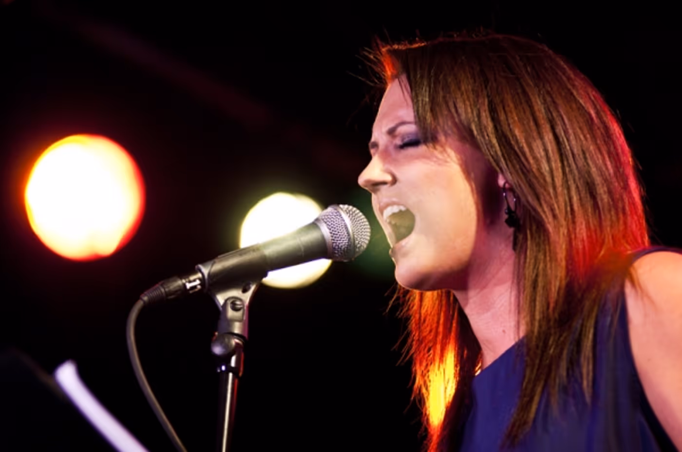 Photo Flash: NewMusicalTheatre.com Concert Features Kerrigan-Lowdermilk's YOU MADE THIS TOUR  Image