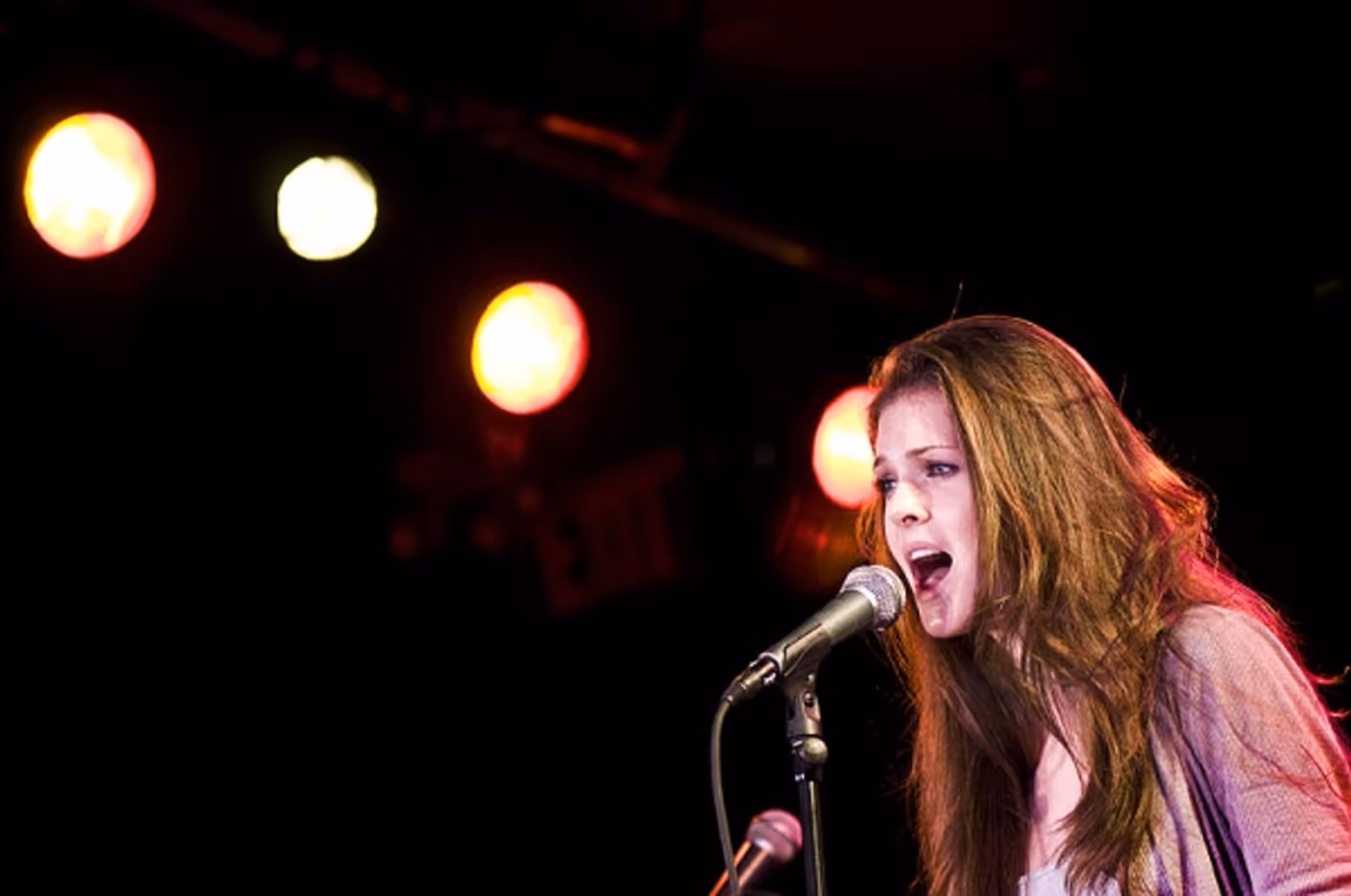 Photo Flash: NewMusicalTheatre.com Concert Features Kerrigan-Lowdermilk's YOU MADE THIS TOUR  Image