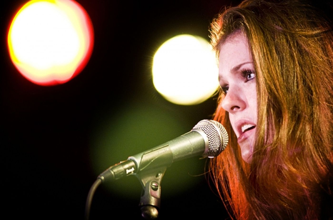 Photo Flash: NewMusicalTheatre.com Concert Features Kerrigan-Lowdermilk's YOU MADE THIS TOUR  Image