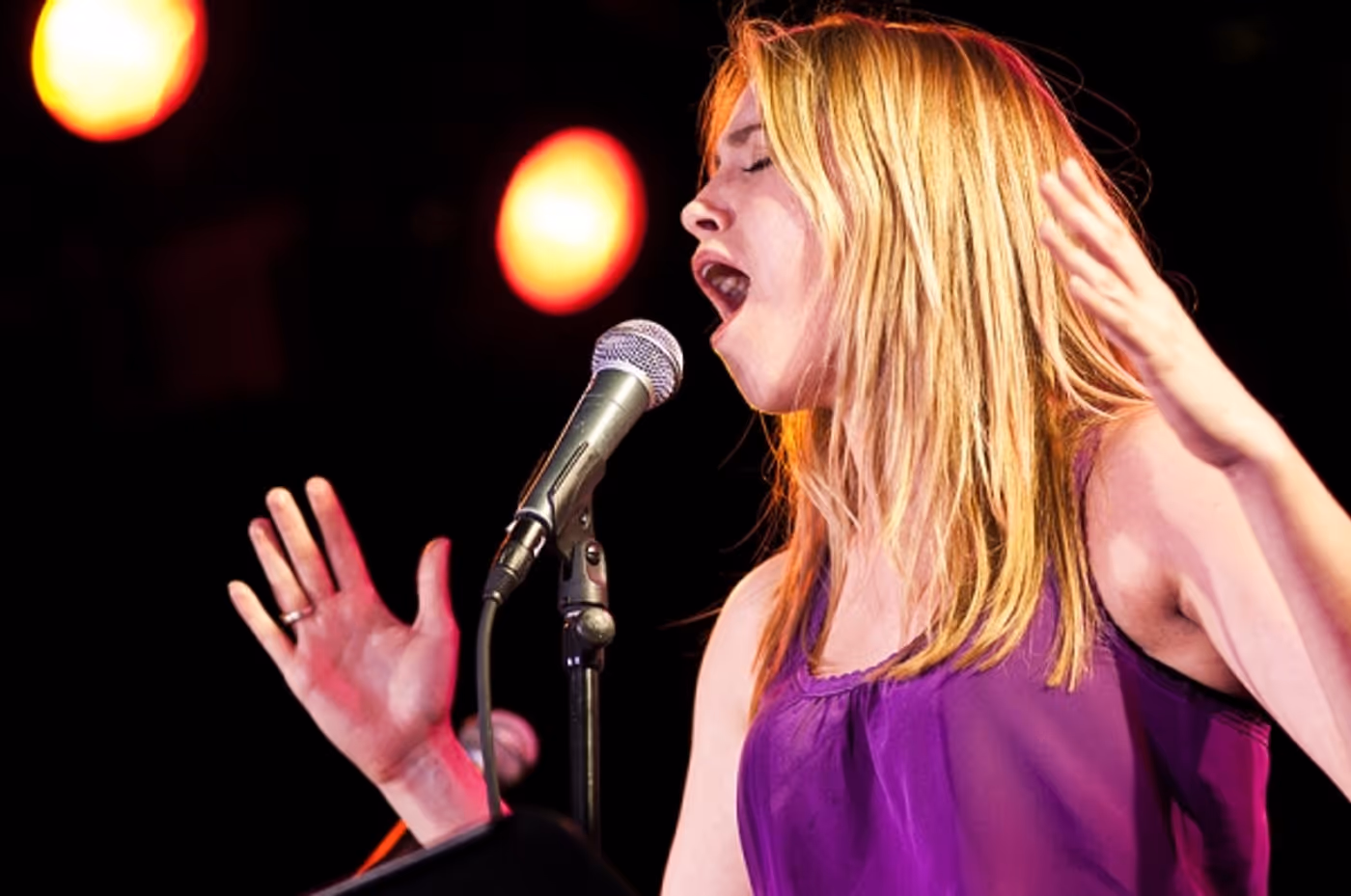 Photo Flash: NewMusicalTheatre.com Concert Features Kerrigan-Lowdermilk's YOU MADE THIS TOUR  Image