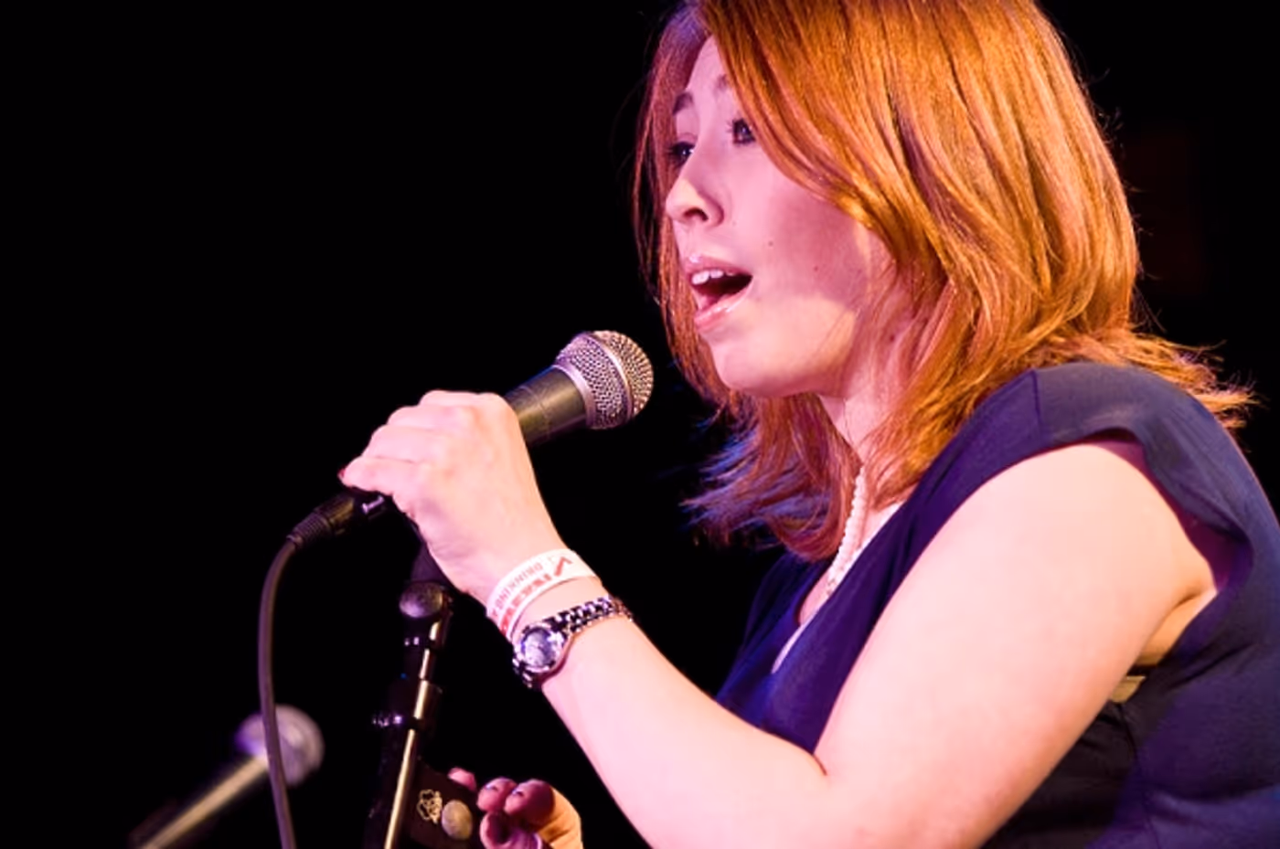 Photo Flash: NewMusicalTheatre.com Concert Features Kerrigan-Lowdermilk's YOU MADE THIS TOUR  Image
