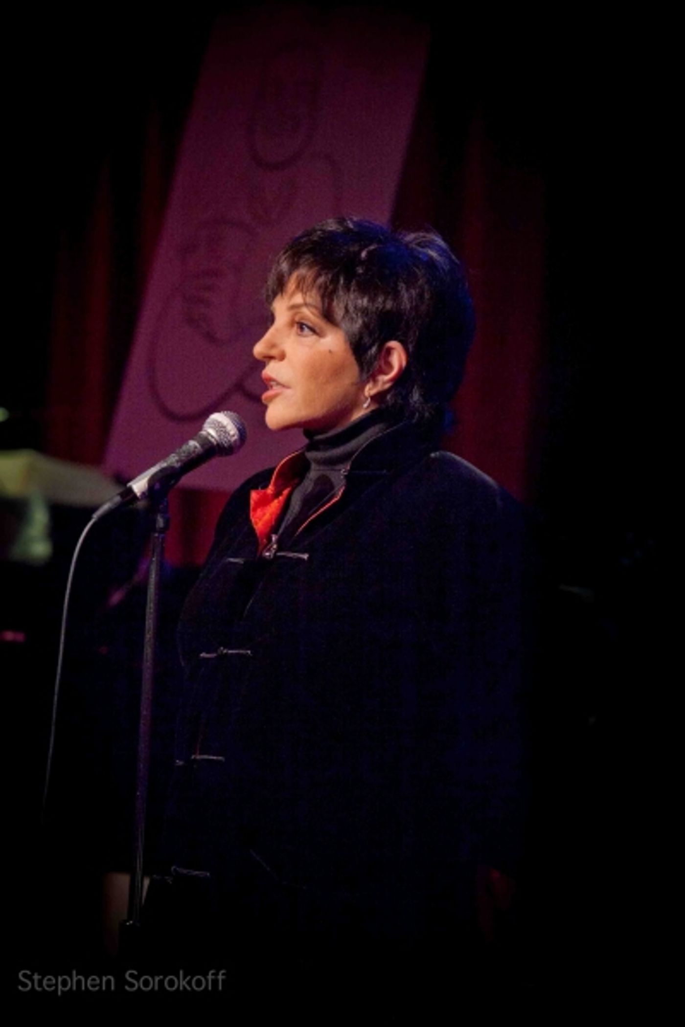 Photo Flash: Minnelli, Chamberlin, Kudisch, and More Headline Birdland's 'Songs for Mike'  Image