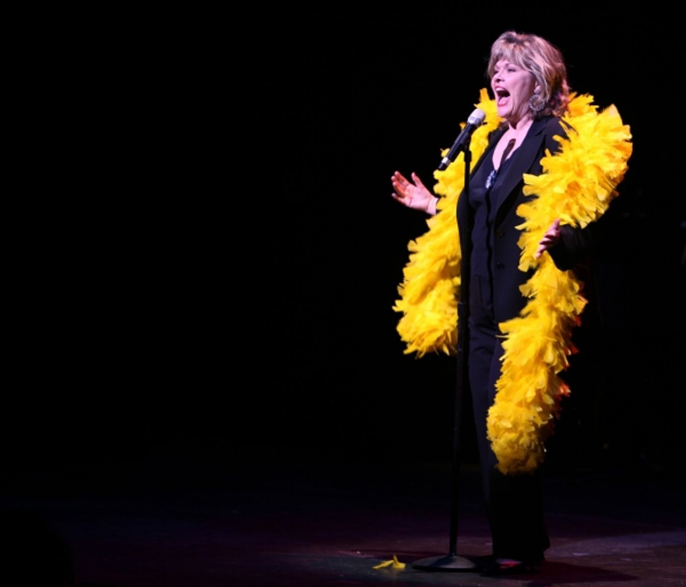 Photo Coverage: STRO! A Gala Celebration - Part One  Image