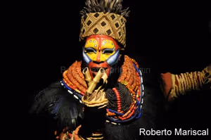 Brown Lindiwe Mkhize @ BroadwayWorld Brown Lindiwe Mkhize Photo