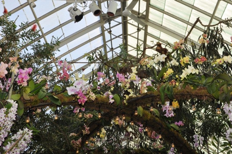 Photo Coverage: THE Orchid Show: On Broadway Image