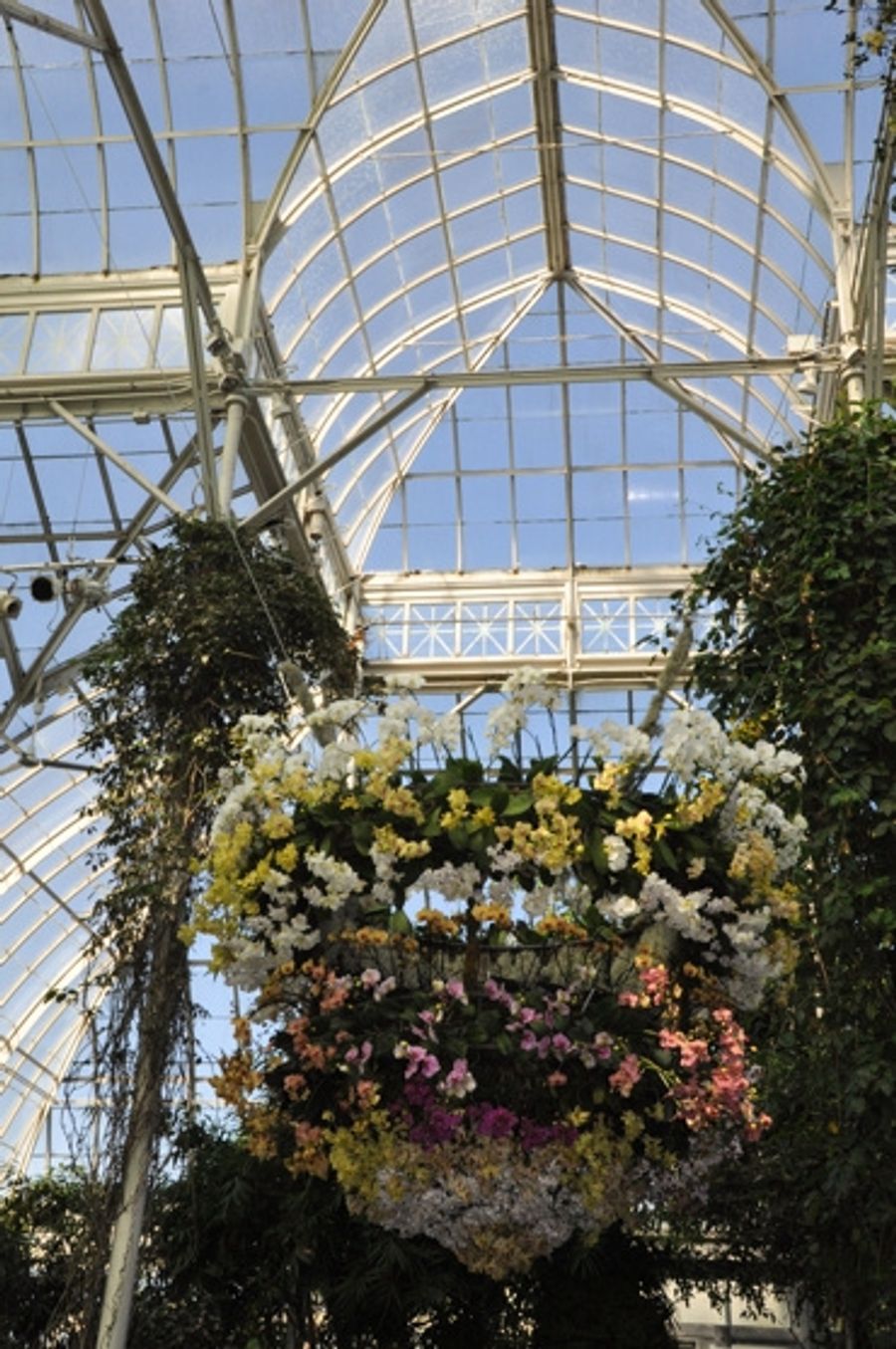 Photo Coverage: THE Orchid Show: On Broadway Image