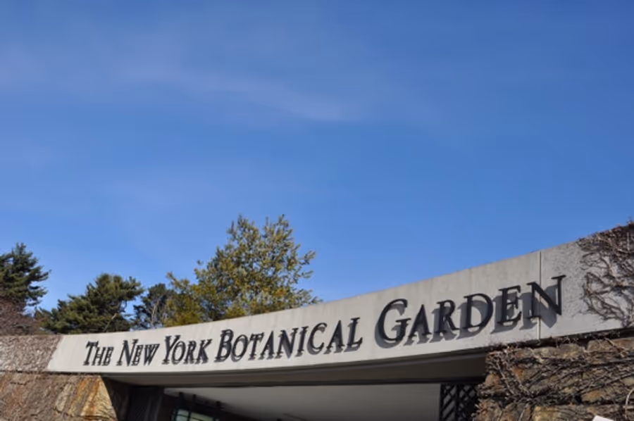 Photo Coverage: THE Orchid Show: On Broadway Image