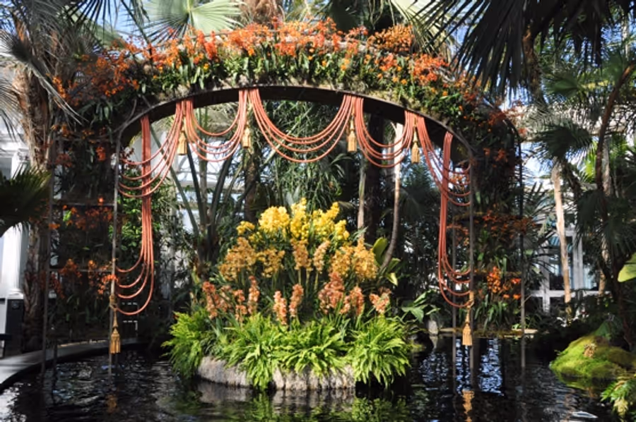 Photo Coverage: THE Orchid Show: On Broadway Image