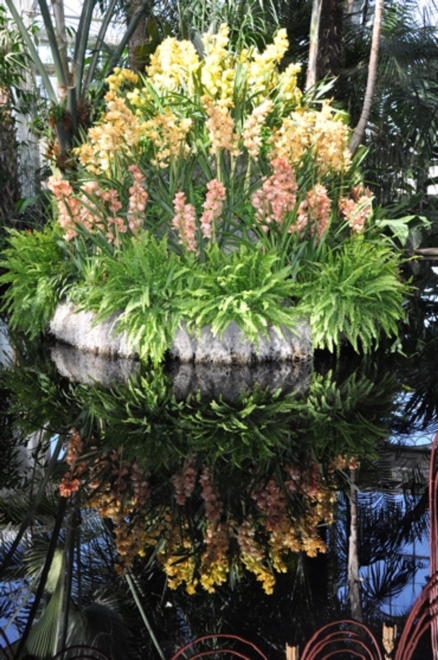Photo Coverage: THE Orchid Show: On Broadway  Image