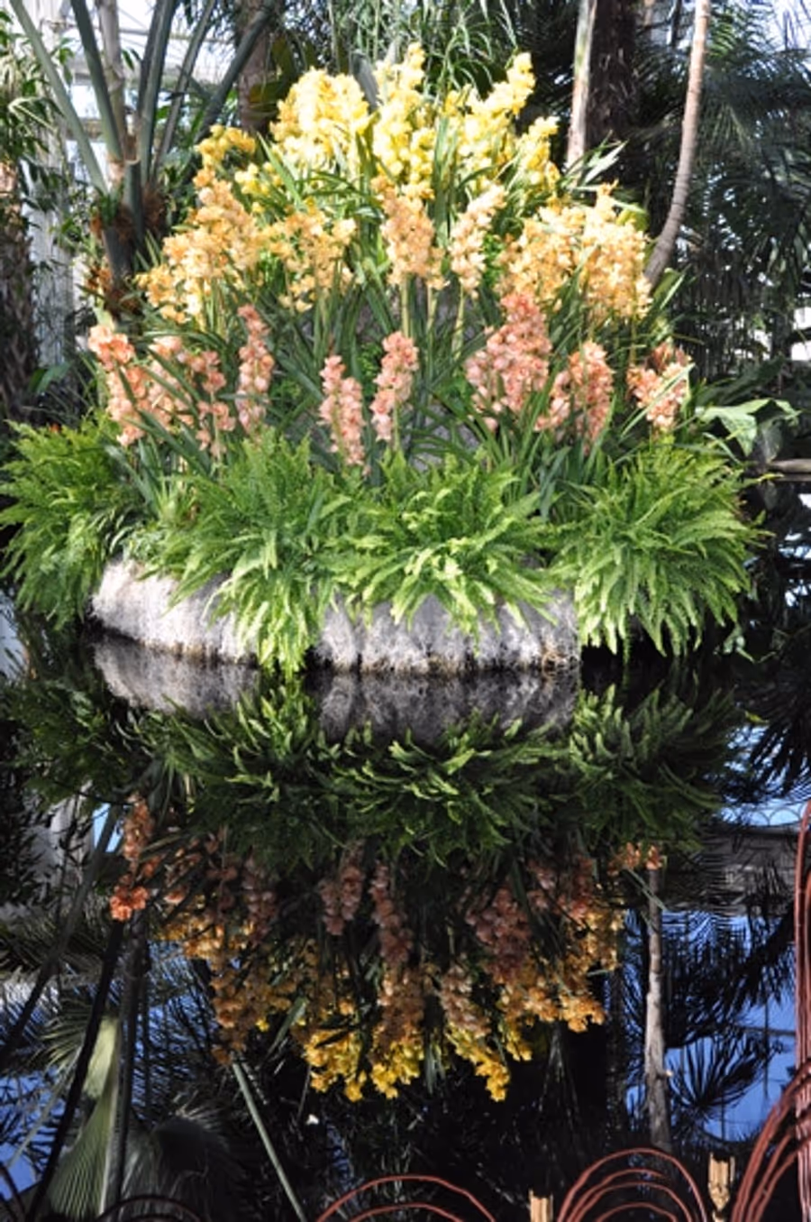 Photo Coverage: THE Orchid Show: On Broadway Image
