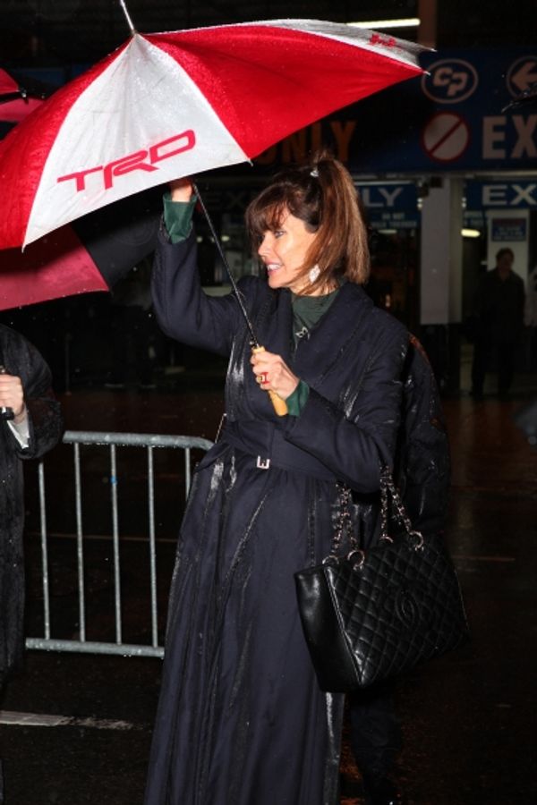 Carol Alt attending the Opening Night Performance of  'That Championship Season' at t Photo