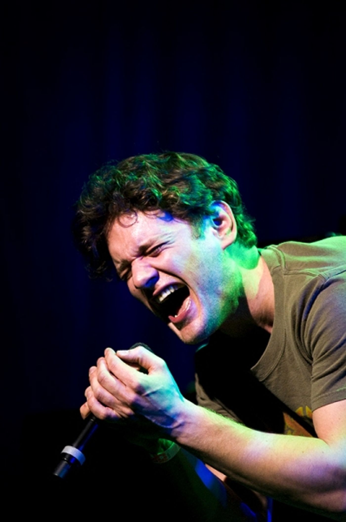 Photo Flash: Joe Iconis's THINGS TO RUIN Takes Le Poisson Rouge!  Image