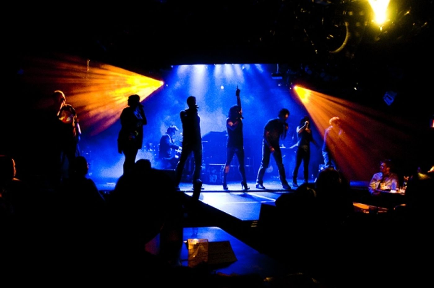 Photo Flash: Joe Iconis's THINGS TO RUIN Takes Le Poisson Rouge!  Image