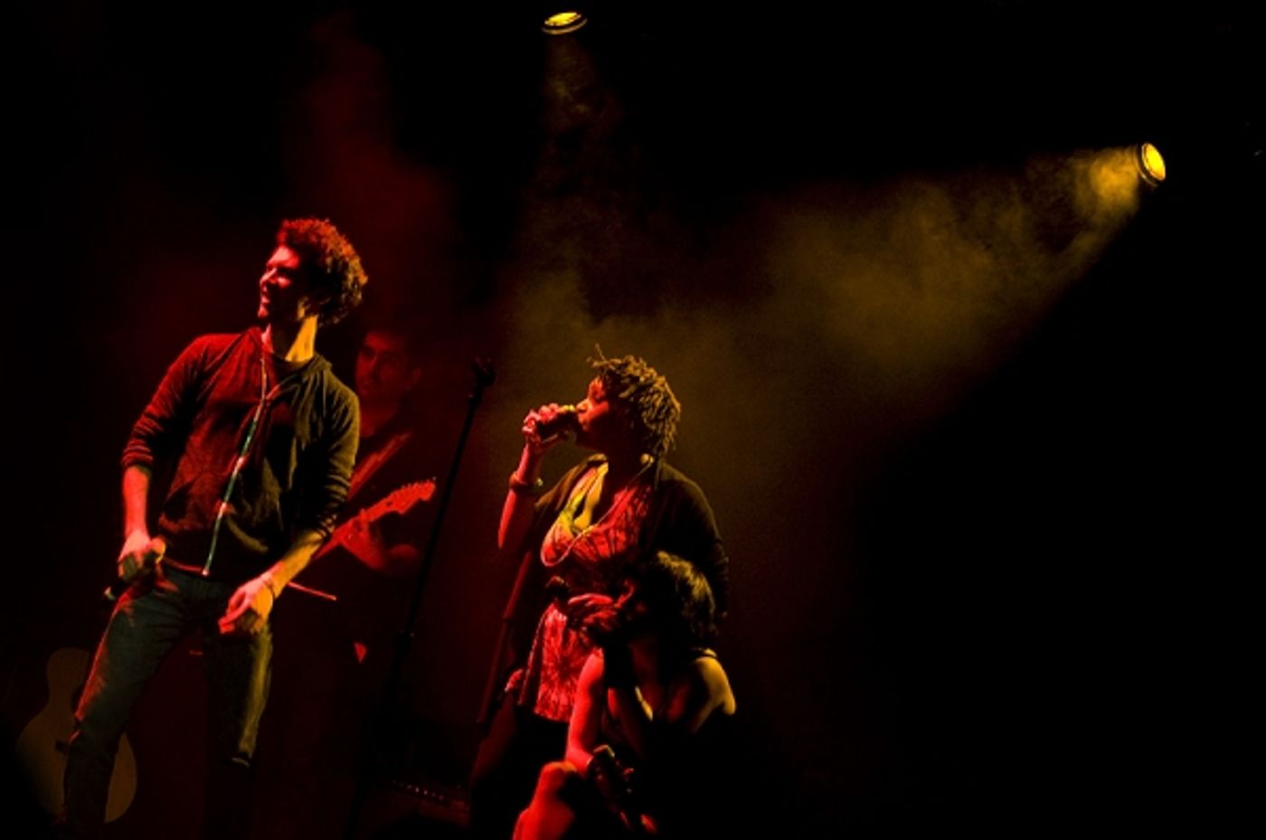 Photo Flash: Joe Iconis's THINGS TO RUIN Takes Le Poisson Rouge!  Image