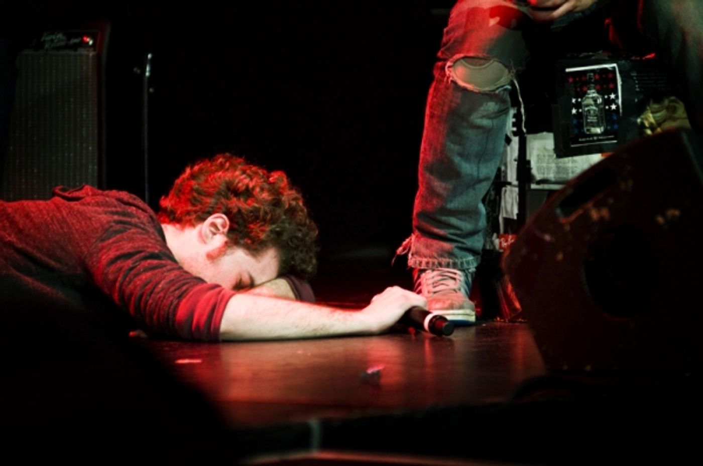 Photo Flash: Joe Iconis's THINGS TO RUIN Takes Le Poisson Rouge!  Image