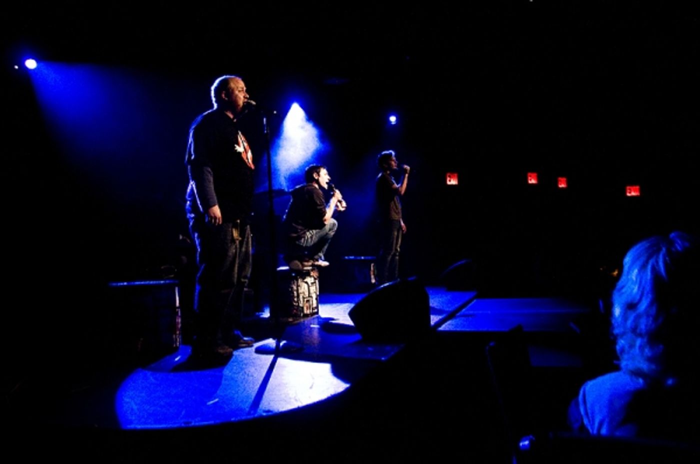 Photo Flash: Joe Iconis's THINGS TO RUIN Takes Le Poisson Rouge!  Image