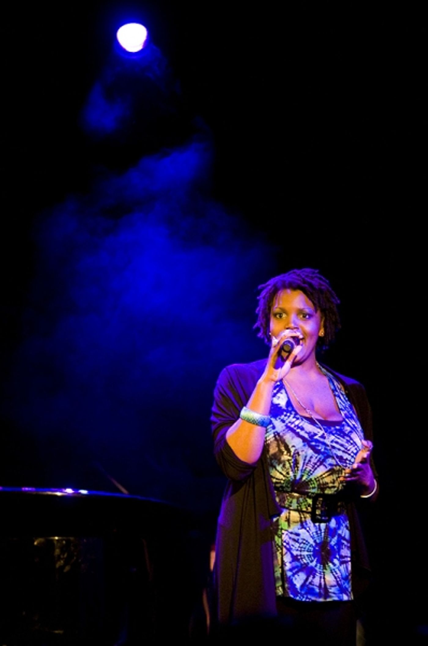 Photo Flash: Joe Iconis's THINGS TO RUIN Takes Le Poisson Rouge!  Image