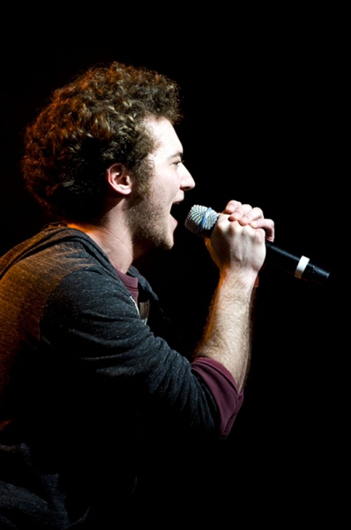 Photo Flash: Joe Iconis's THINGS TO RUIN Takes Le Poisson Rouge!  Image