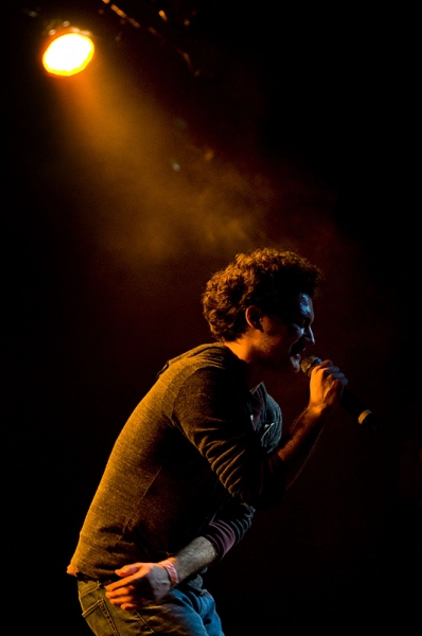 Photo Flash: Joe Iconis's THINGS TO RUIN Takes Le Poisson Rouge!  Image