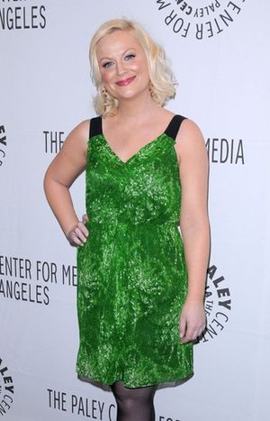 Amy Poehler Photo