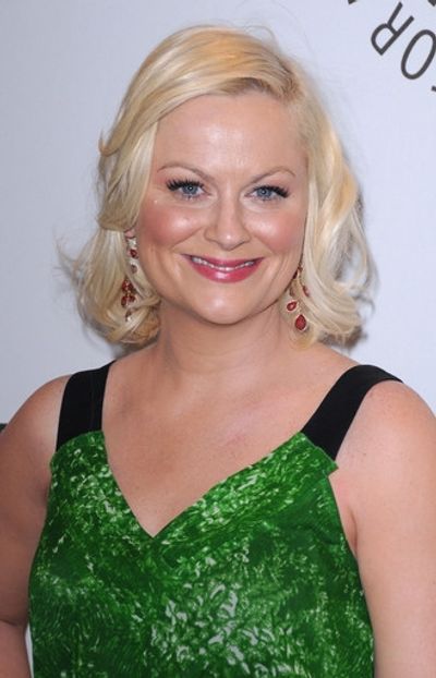 Amy Poehler Photo