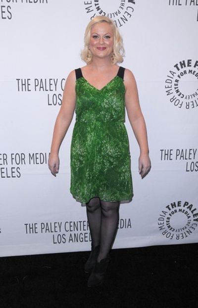 Amy Poehler Photo