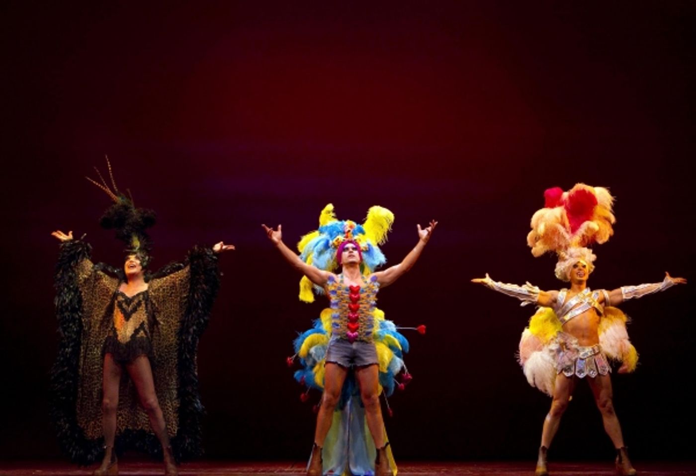 Photo Flash: Exclusive First Look at PRISCILLA QUEEN OF THE DESERT THE MUSICAL  Image