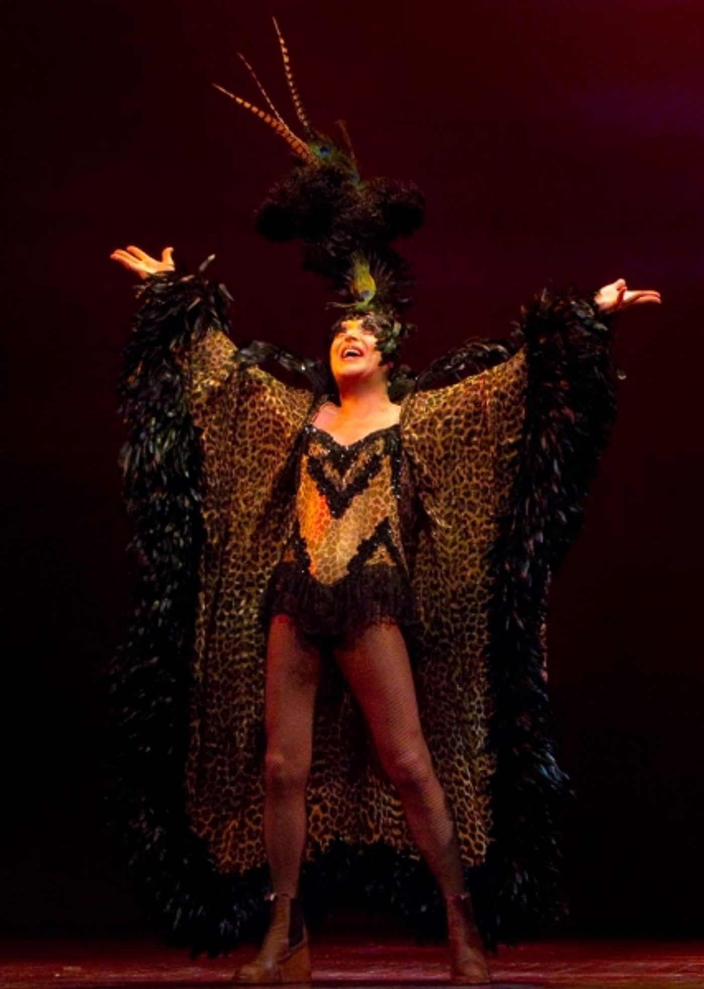 Photo Flash: Exclusive First Look at PRISCILLA QUEEN OF THE DESERT THE MUSICAL  Image